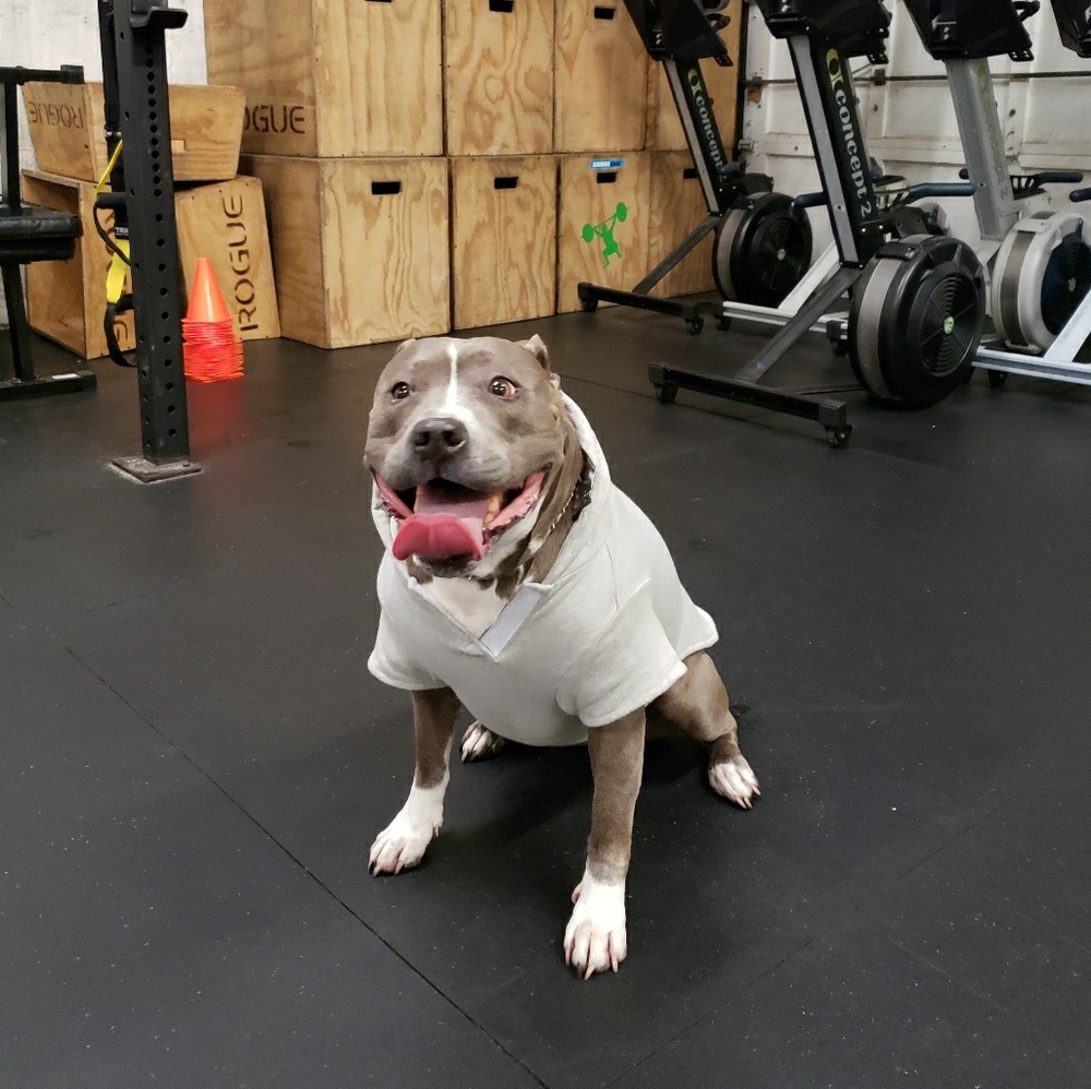 Meet your Posher, Elizabeth